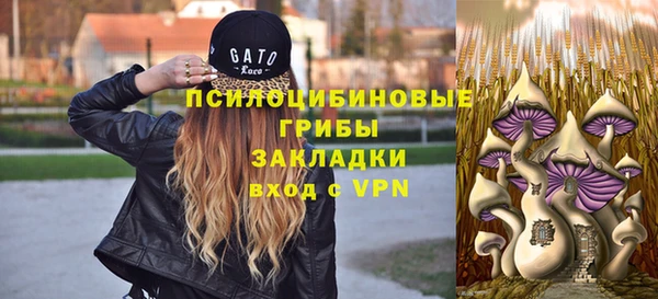 а пвп мука Корсаков