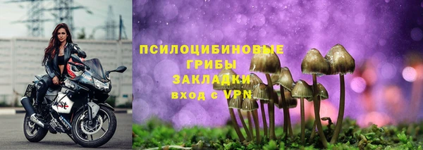 а пвп мука Корсаков