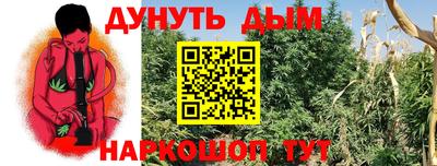 молекула духа Гай