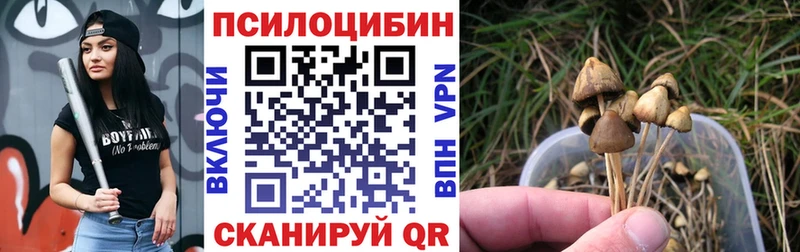Галлюциногенные грибы ЛСД darknet формула Майкоп