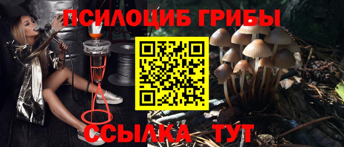Псилоцибиновые грибы прущие грибы  Псилоцибиновые грибы ЛСД  как найти закладки  Майкоп  Вход с VPN 