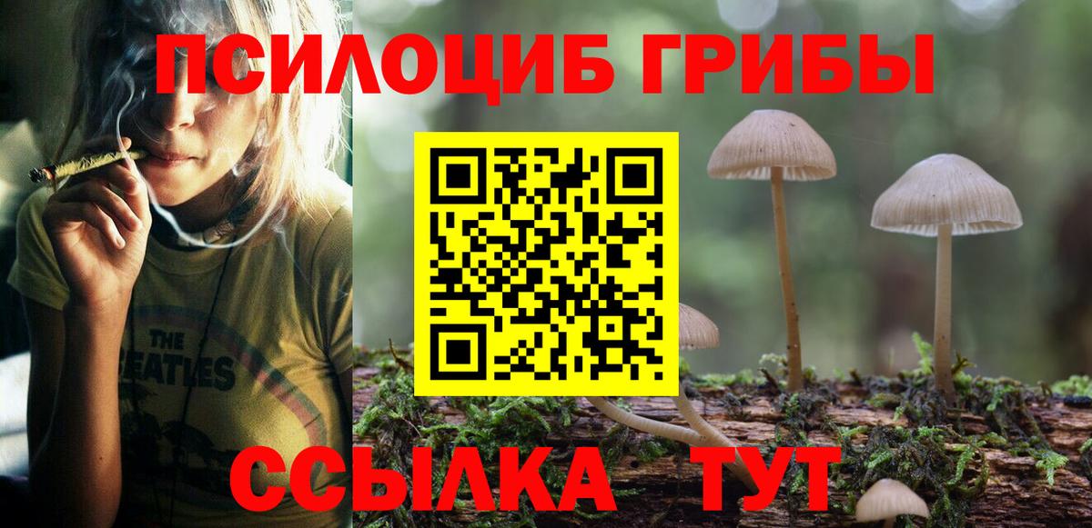 Псилоцибиновые грибы Magic Shrooms Майкоп