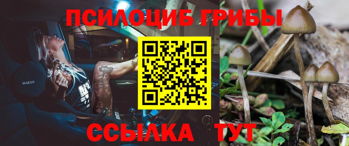 Галлюциногенные грибы MAGIC MUSHROOMS  Майкоп 
