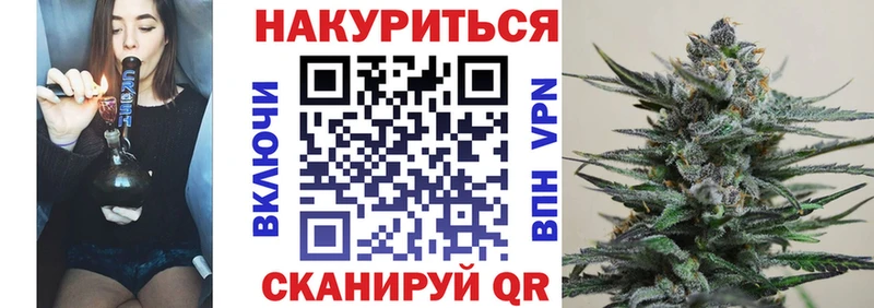 Каннабис сатива Майкоп