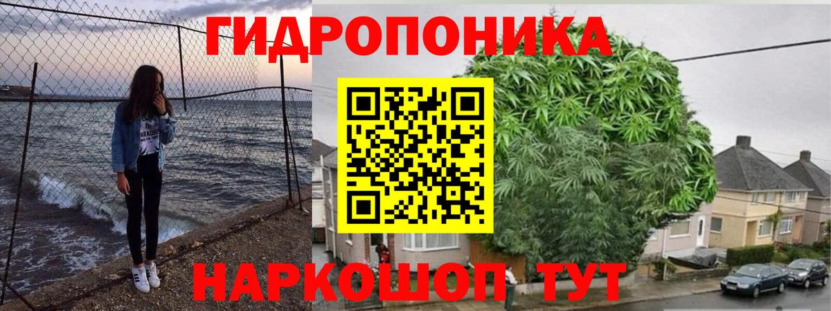 Шишки марихуана план Майкоп